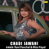 About Chadi Jawani Song